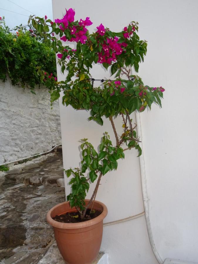 Holiday home Fotis House